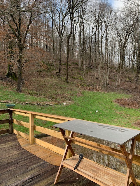 2877 Bryant Road Culleoka, TN 38451 - Photo 20 of 25