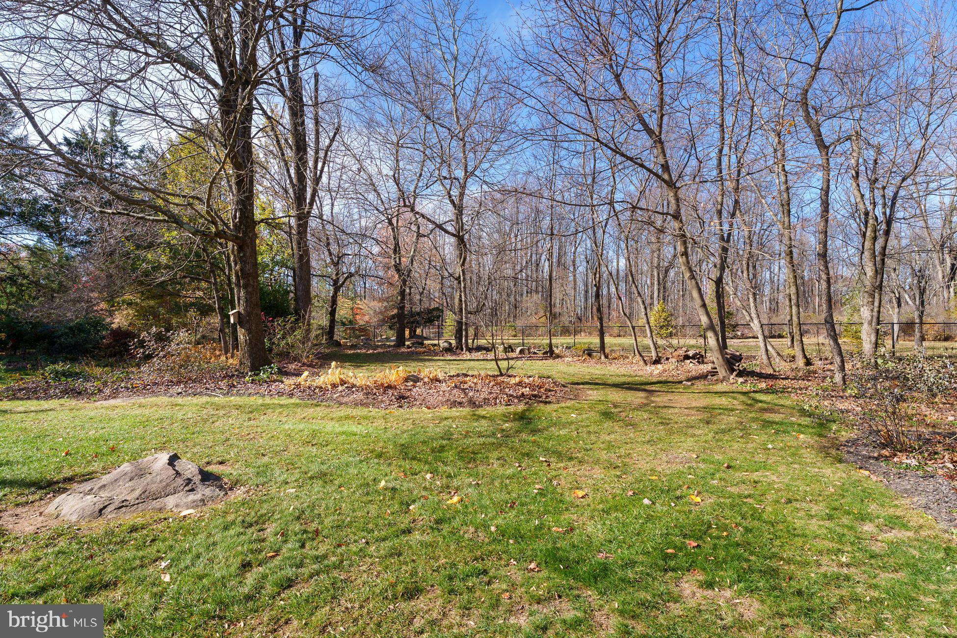 516 Mt Lucas Road Princeton, NJ 08540 - Photo 41 of 43 a view of yard with tree