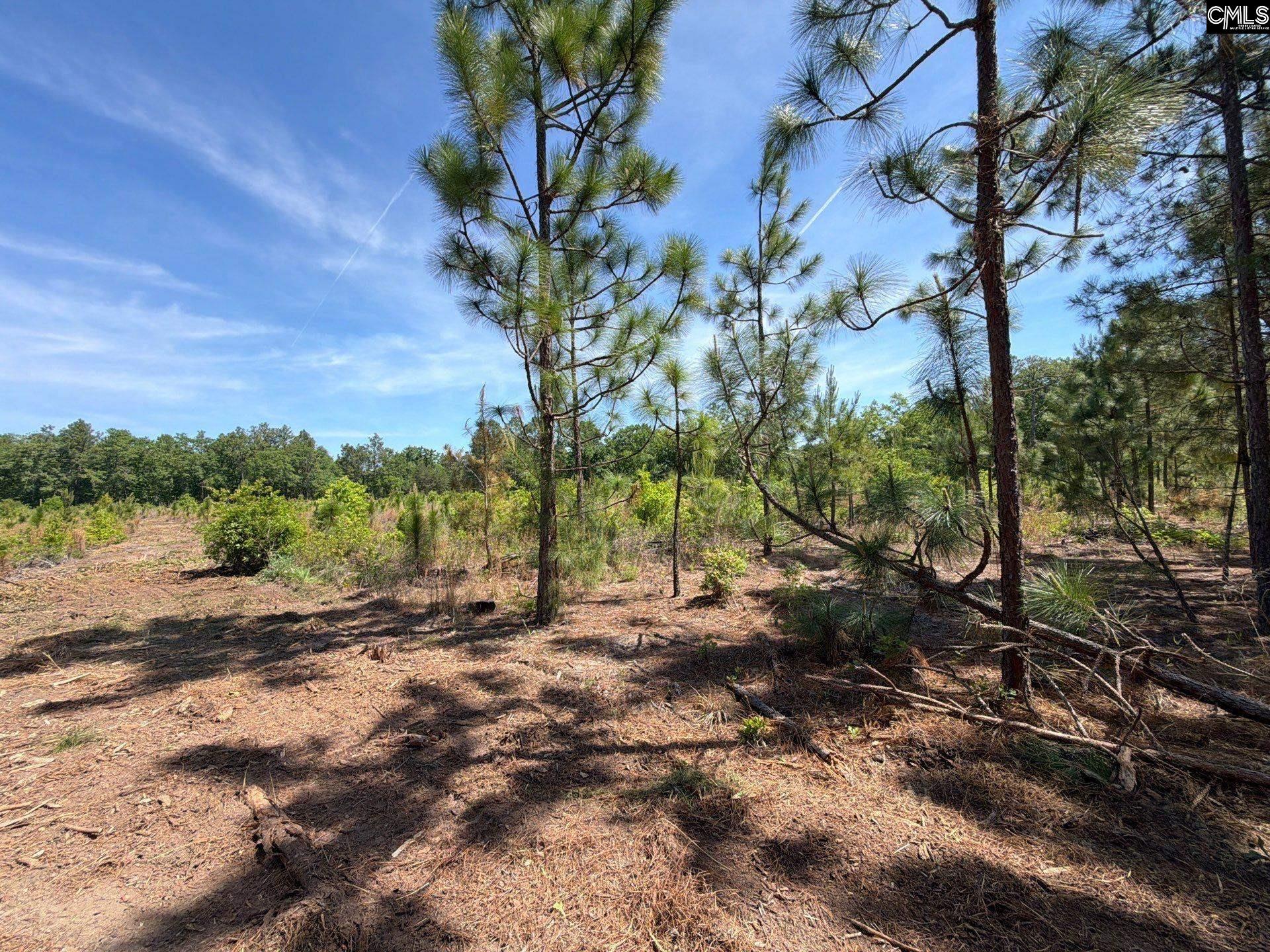 8 Holstein Road Wagener, SC 29164 - Photo 8 of 14