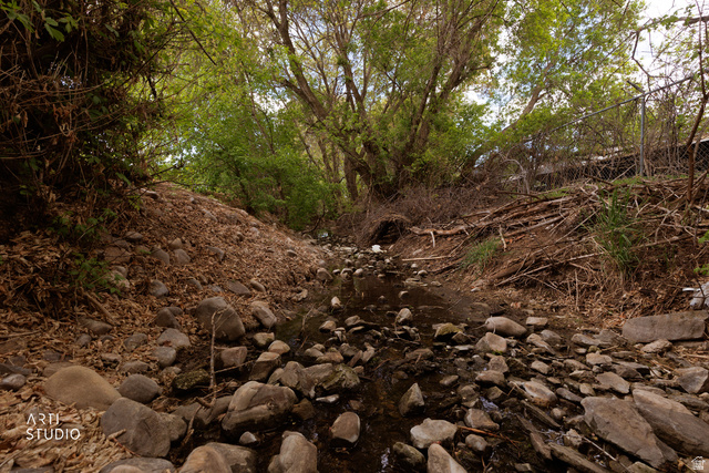 2672 East Canyon Road Springville, UT 84663 - Photo 29 of 33 View of local wilderness