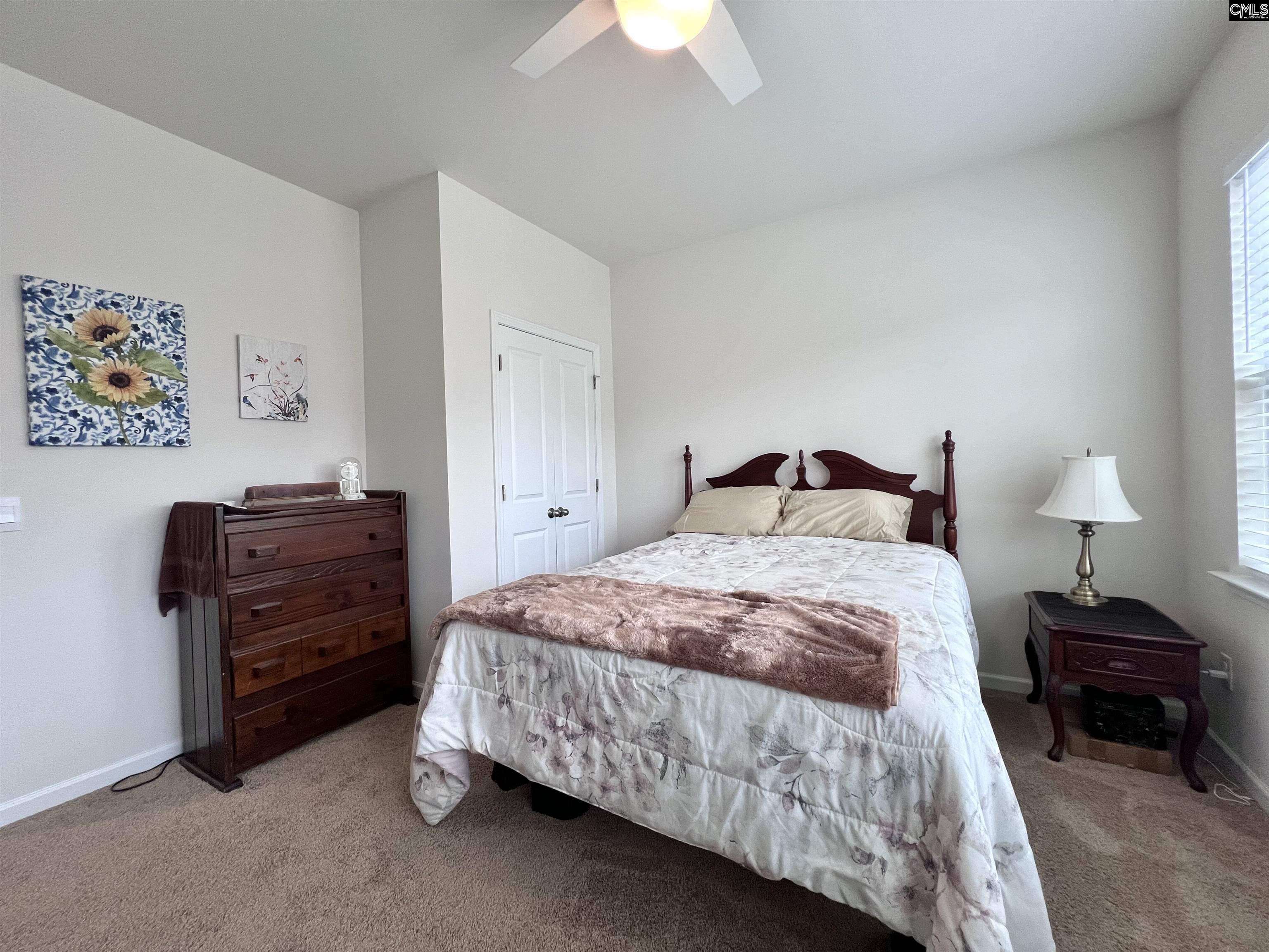 819 Trident Maple Lane Chapin, SC 29036 - Photo 29 of 46