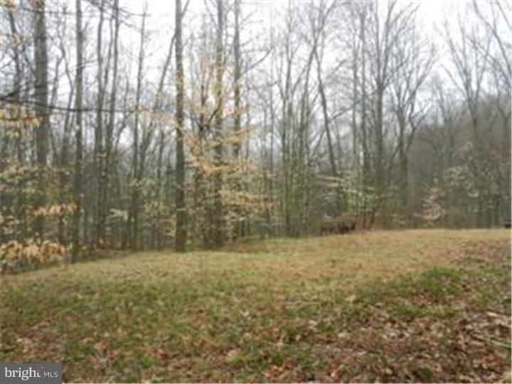 598 Rock Raymond Road Downingtown, PA 19335 - Photo 4 of 16 Gallery Image 4