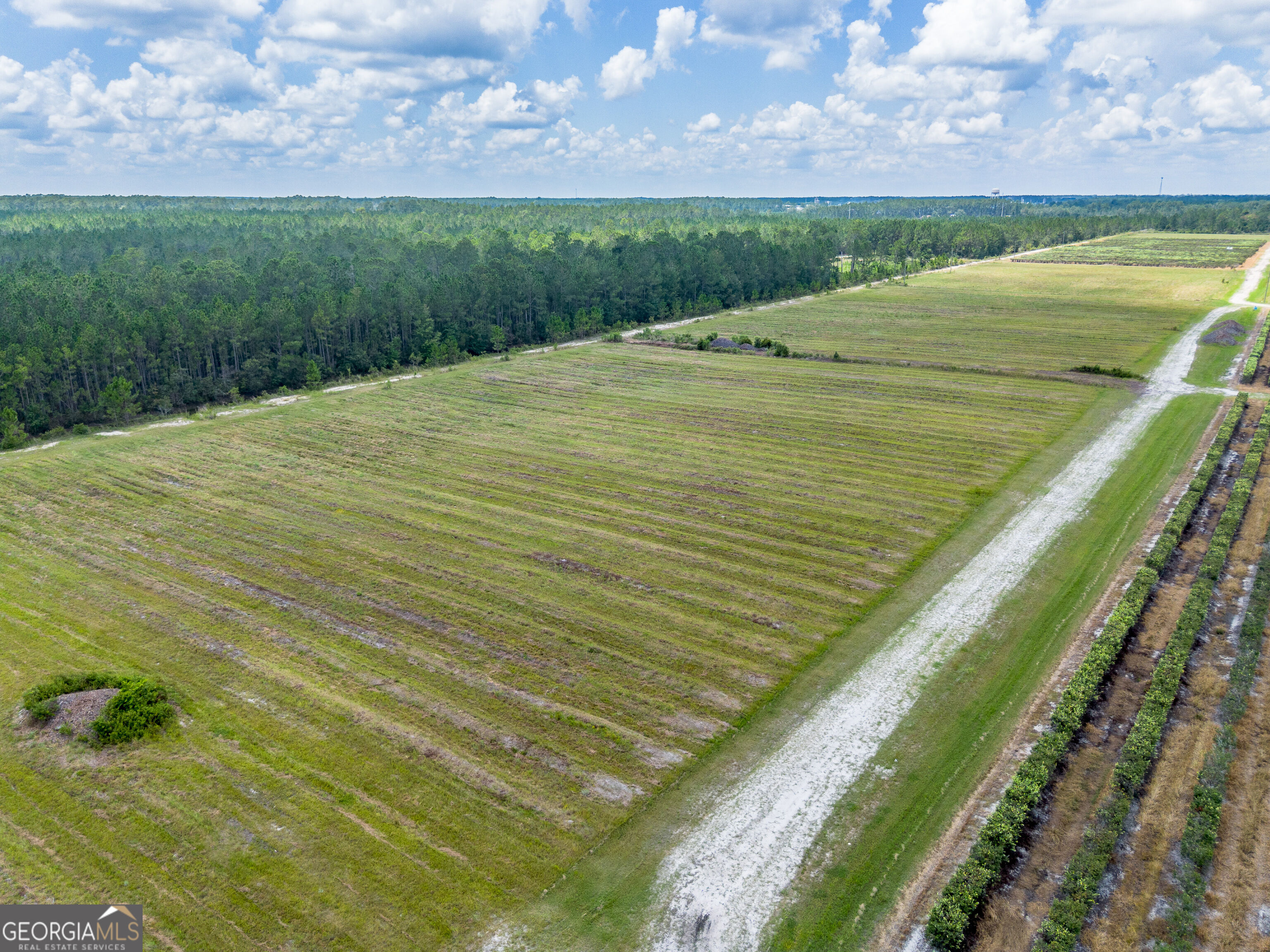 930 Old Surrency Road Baxley, GA 31513 - Photo 22 of 51 Gallery Image 22