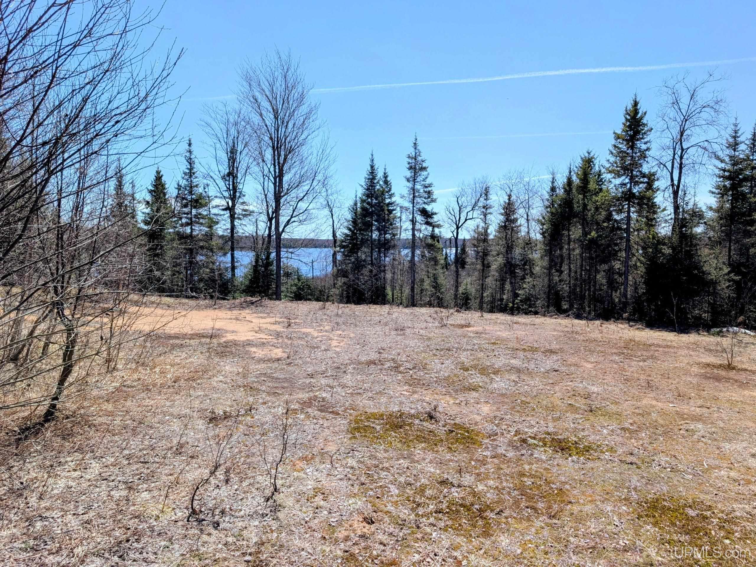 8-acres East Cable Lake Road Crystal Falls, MI 49920 - Photo 6 of 20