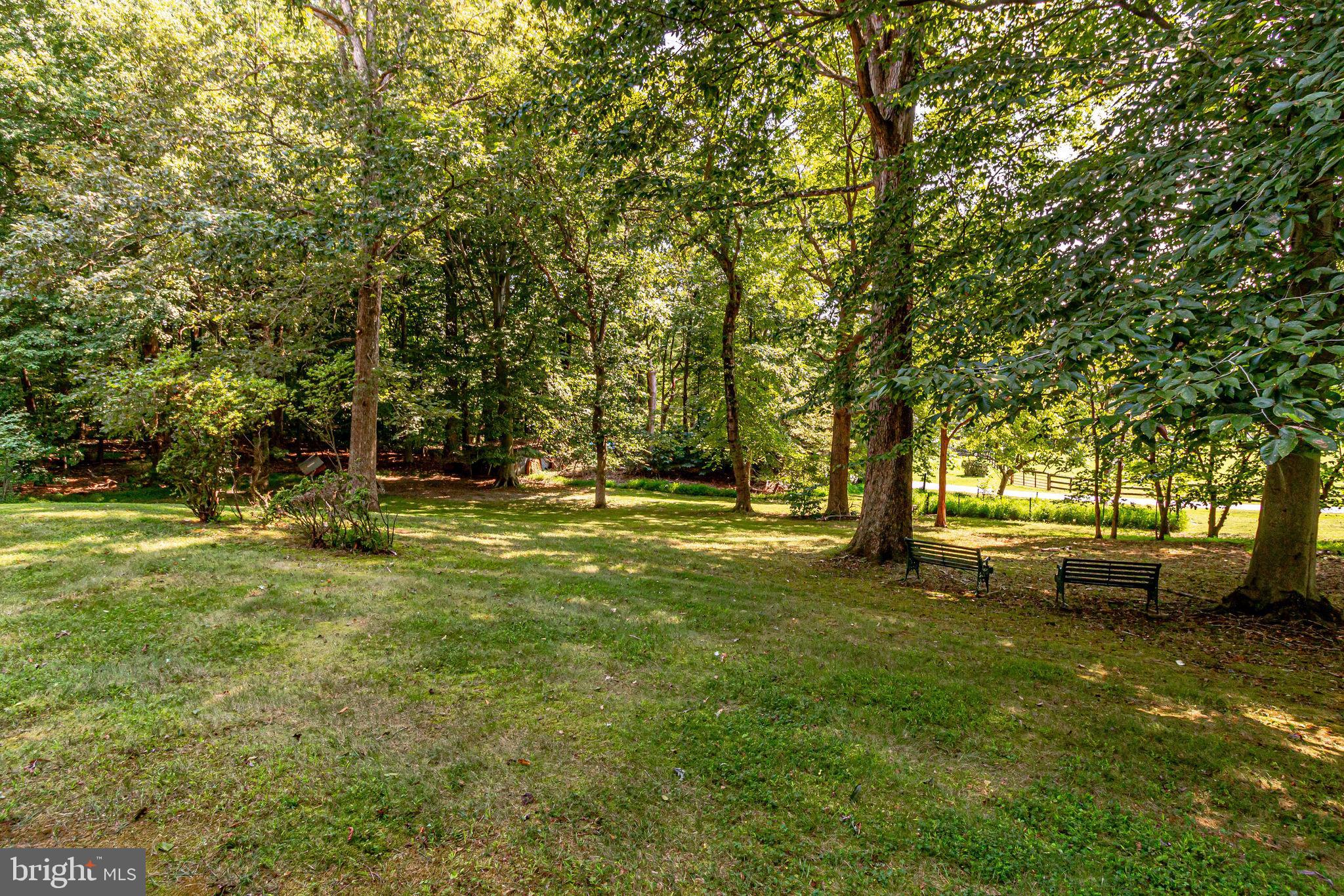 637 River Bend Road Great Falls, VA 22066 - Photo 4 of 40
