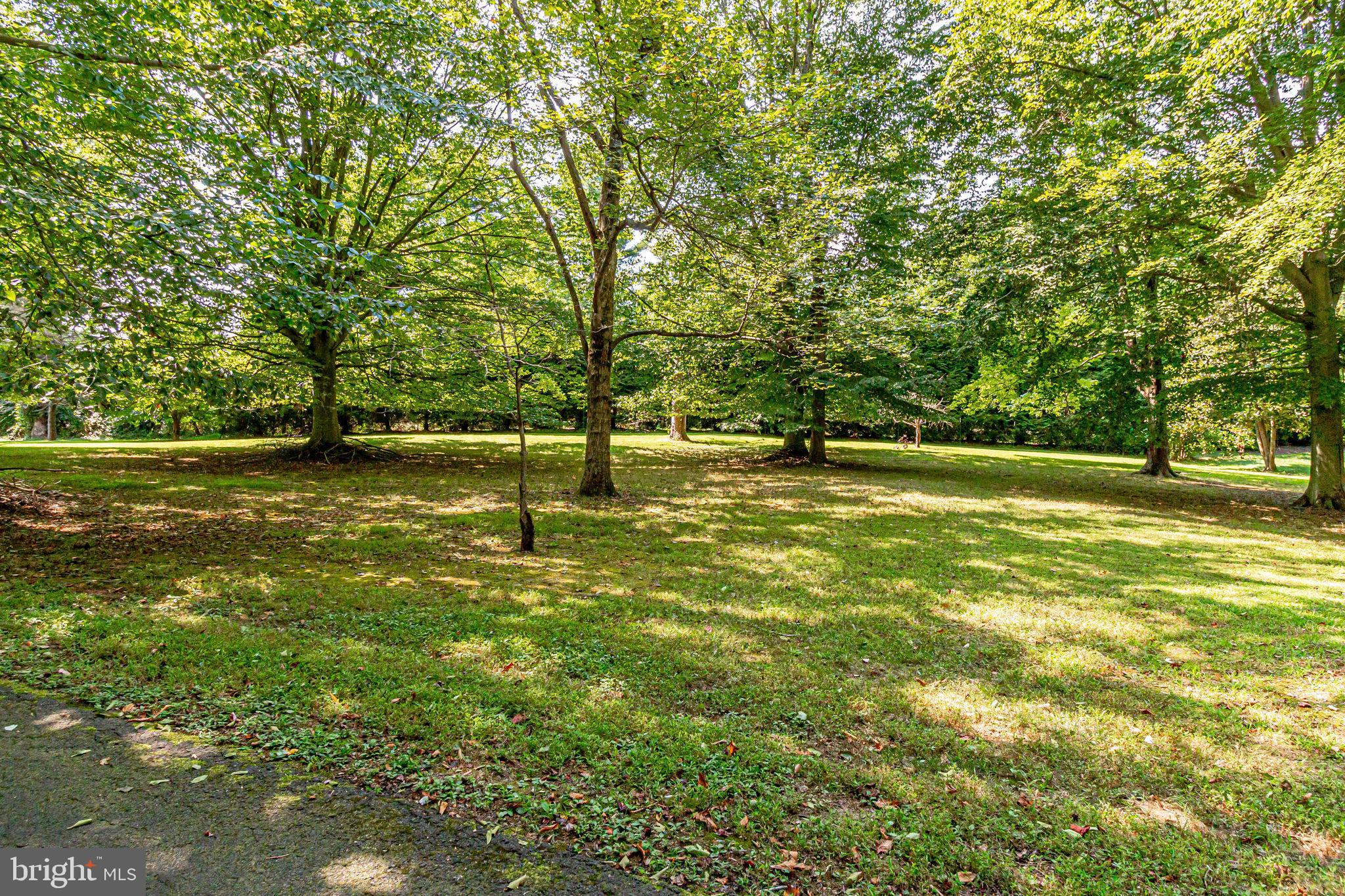 637 River Bend Road Great Falls, VA 22066 - Photo 5 of 40