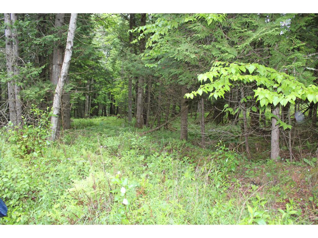 656 Stevens Road Barton, VT 05875 - Photo 21 of 30 Gallery Image 21