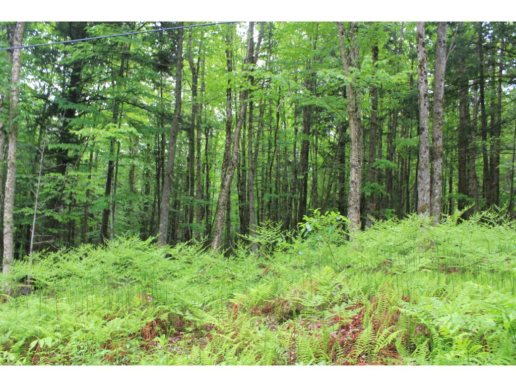 656 Stevens Road Barton, VT 05875 - Photo 28 of 30 Gallery Image 28