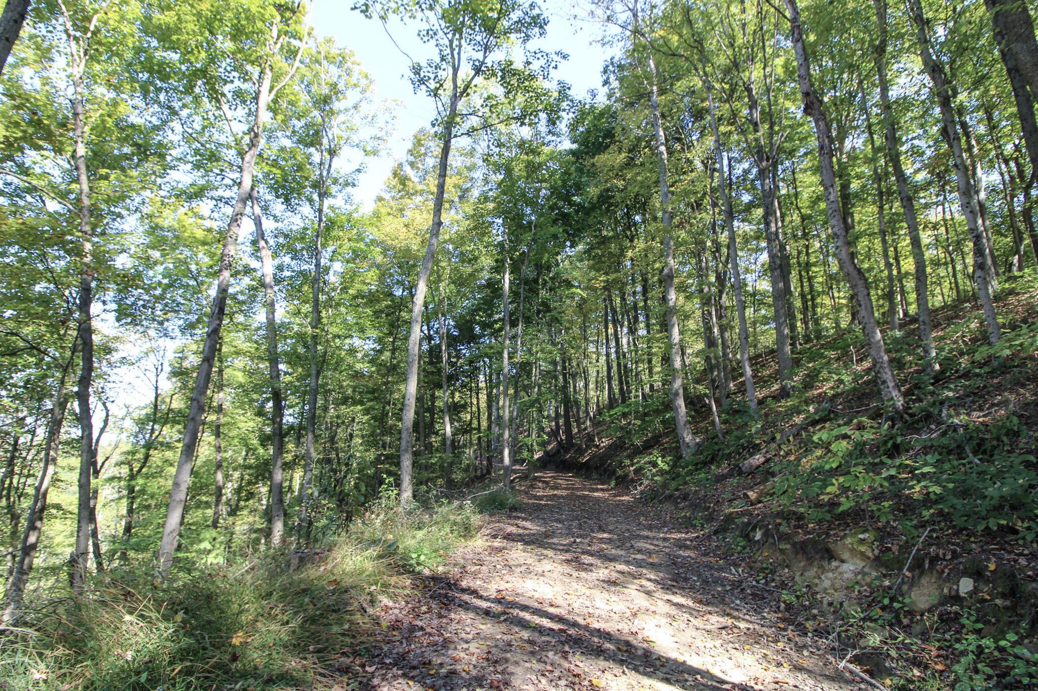 Lot 1 Brooks Road Marietta, OH 45750 - Photo 4 of 23 4-IMG_9082