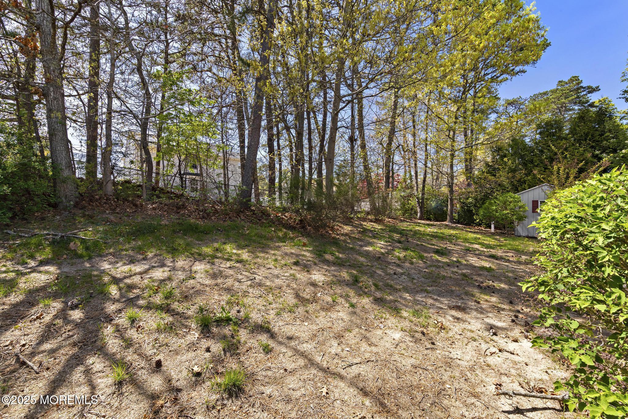 191 Willets Avenue Little Egg Harbor, NJ 08087 - Photo 48 of 49 large yard!