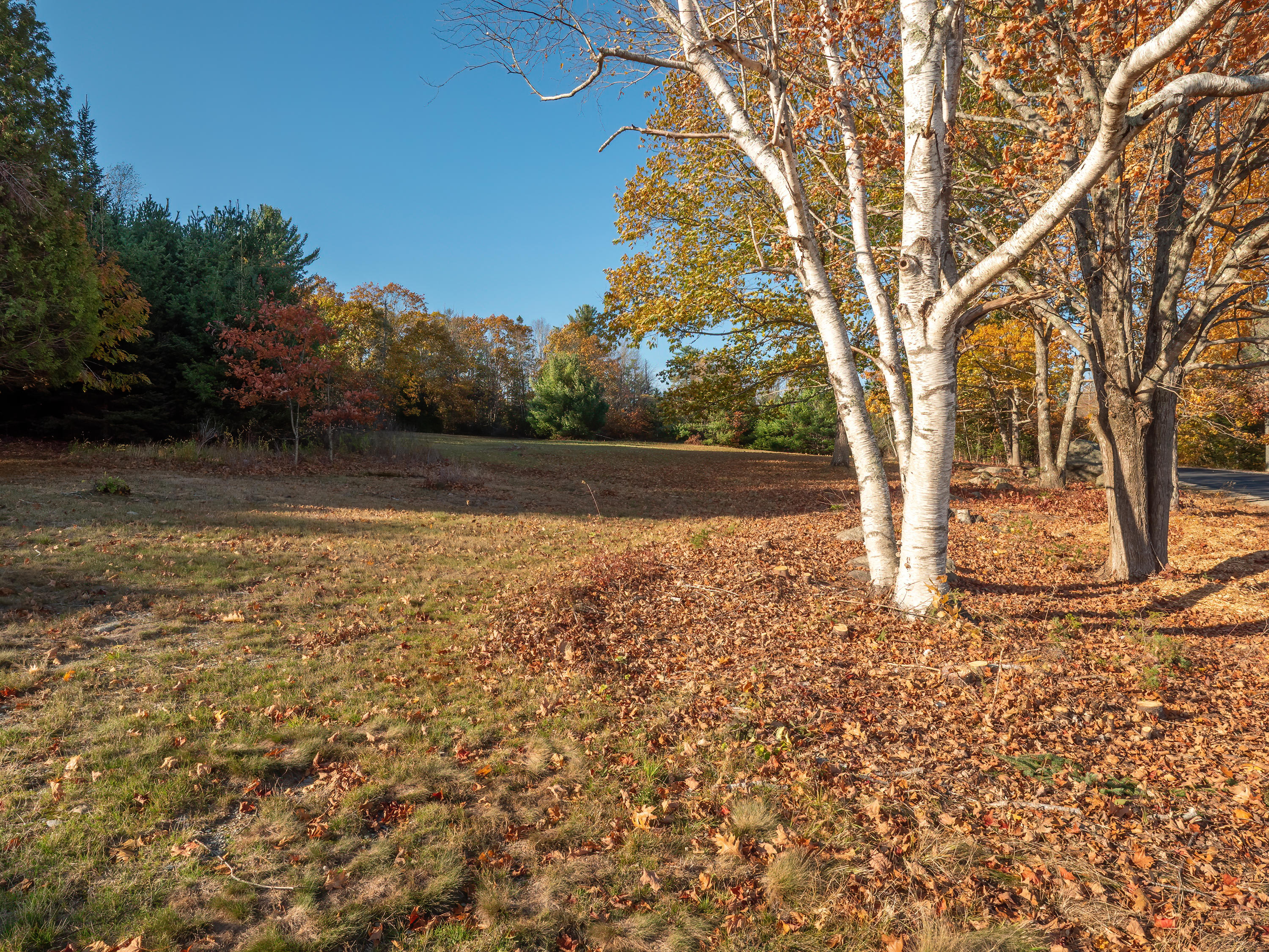 110 A Moore Road Ellsworth, ME 04605 - Photo 7 of 17 Gary Moore Land HiRes (20)