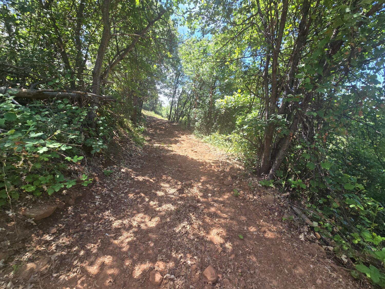 0 Maple Springs Trail Dobbins, CA 95935 - Photo 19 of 22