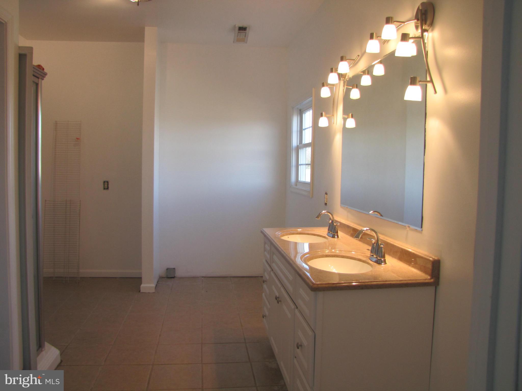 6603 Laurel Grove Road Denton, MD 21629 - Photo 4 of 7 Bath (Master)