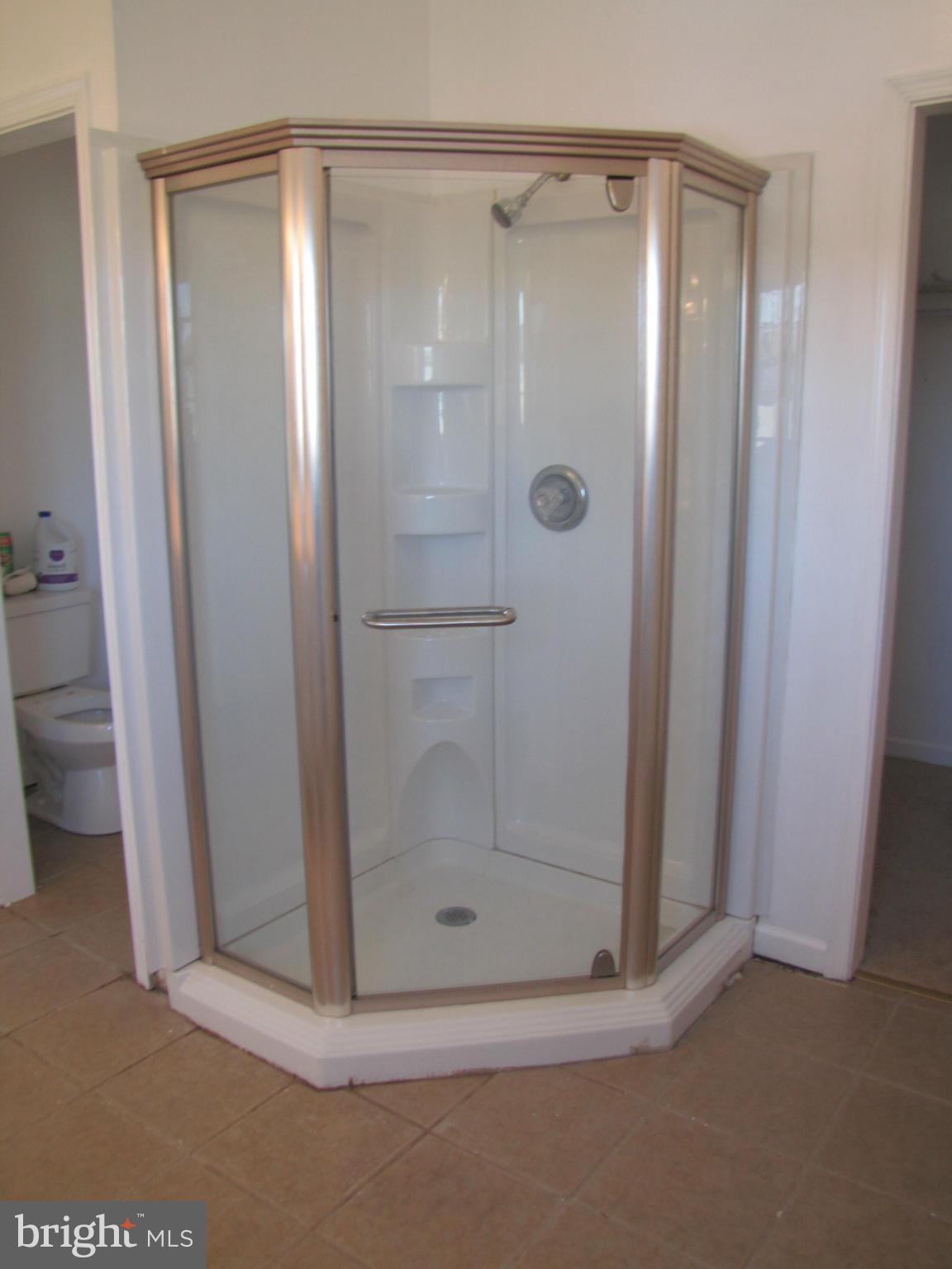 6603 Laurel Grove Road Denton, MD 21629 - Photo 5 of 7 Bath (Master)