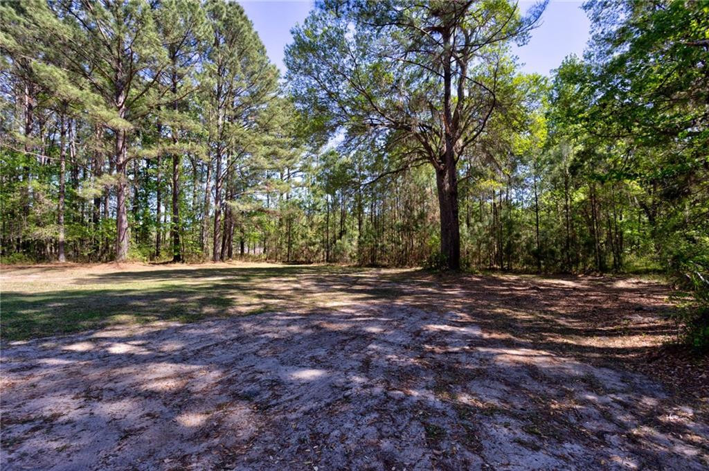 0 Juniper Lane Southwest Townsend, GA 31331 - Photo 2 of 12