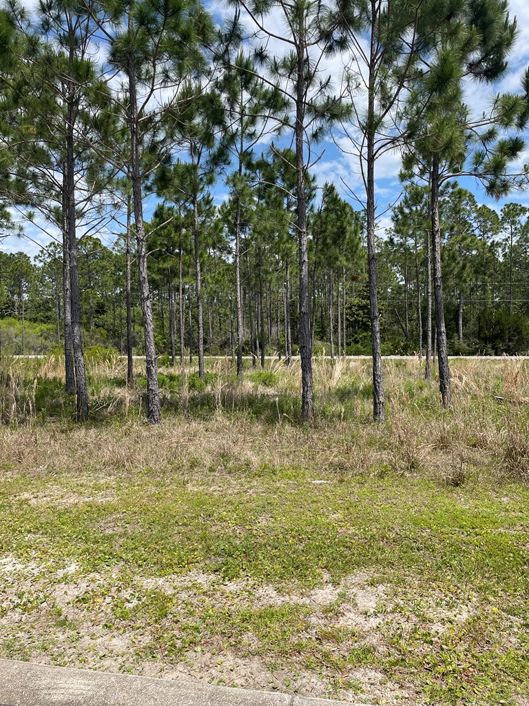 24 Shallow Reed Drive Port St. Joe, FL 32456 - Photo 3 of 6 Gallery Image 3