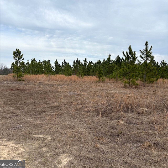 0 Oakridge Church Road Tifton, GA 31794 - Photo 3 of 4