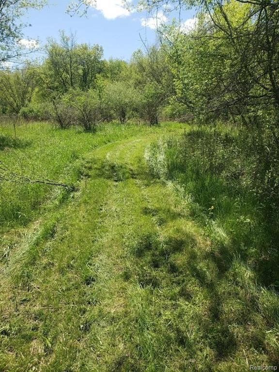 4100 Blackman Road Jackson, MI 49201 - Photo 12 of 26