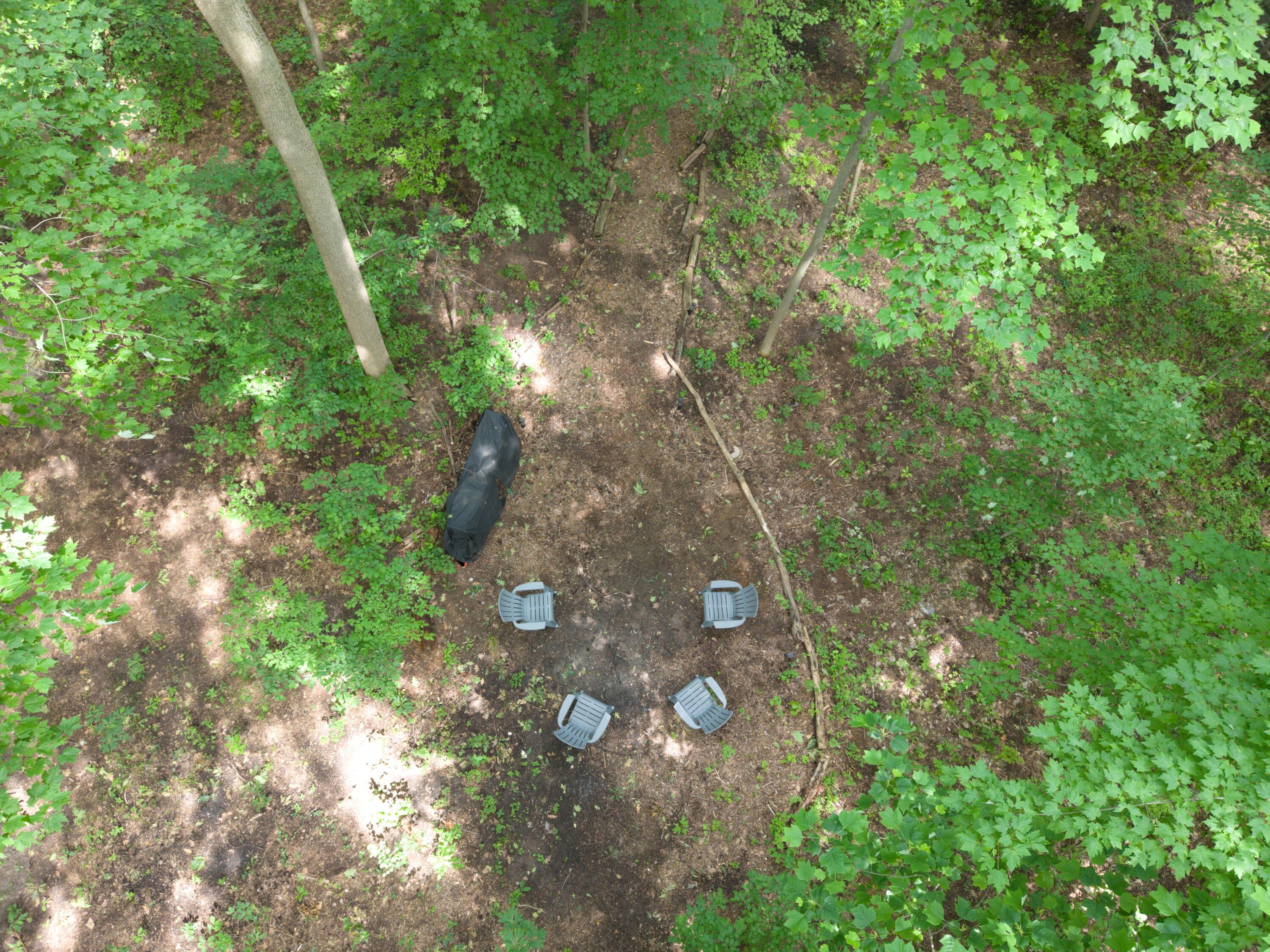 14507 Lakeshore Road Lakeside, MI 49116 - Photo 35 of 36 03-Aerial Backyard