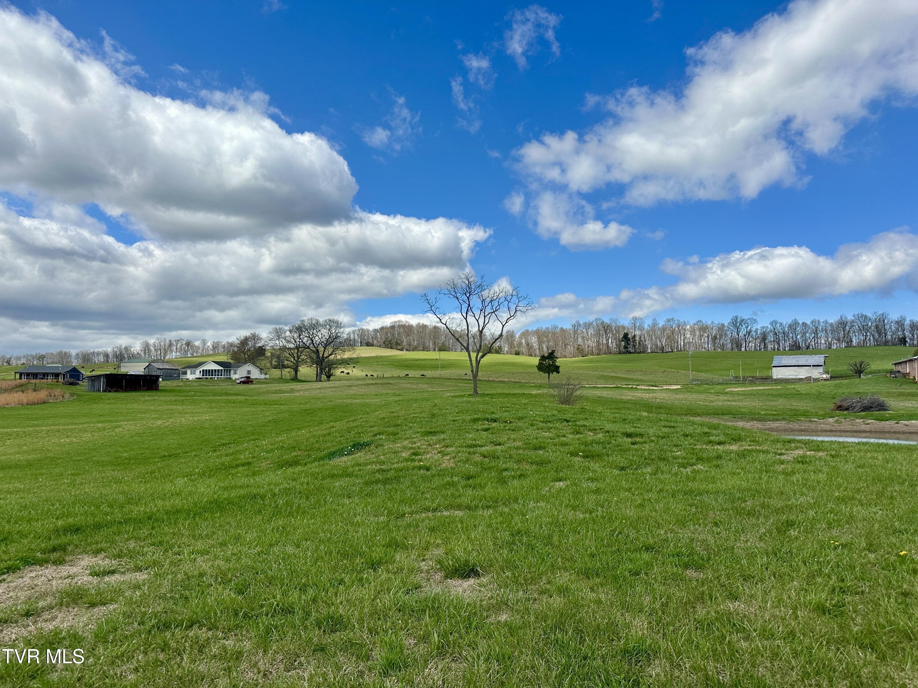 1600 Mary Lamons Road Afton, TN 37616 - Photo 75 of 89 048n(1)