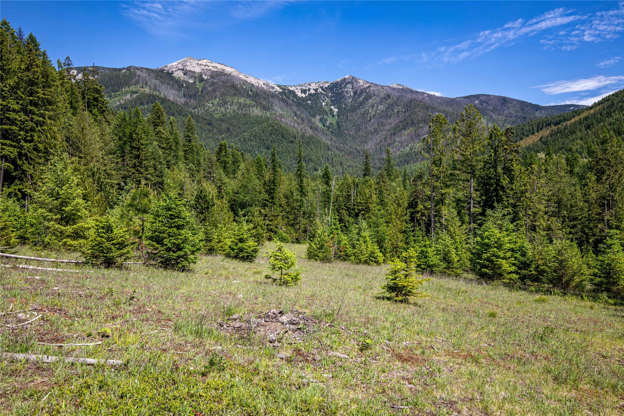 189 Blue Creek Road Heron, MT 59844 - Photo 73 of 83 Gallery Image 73