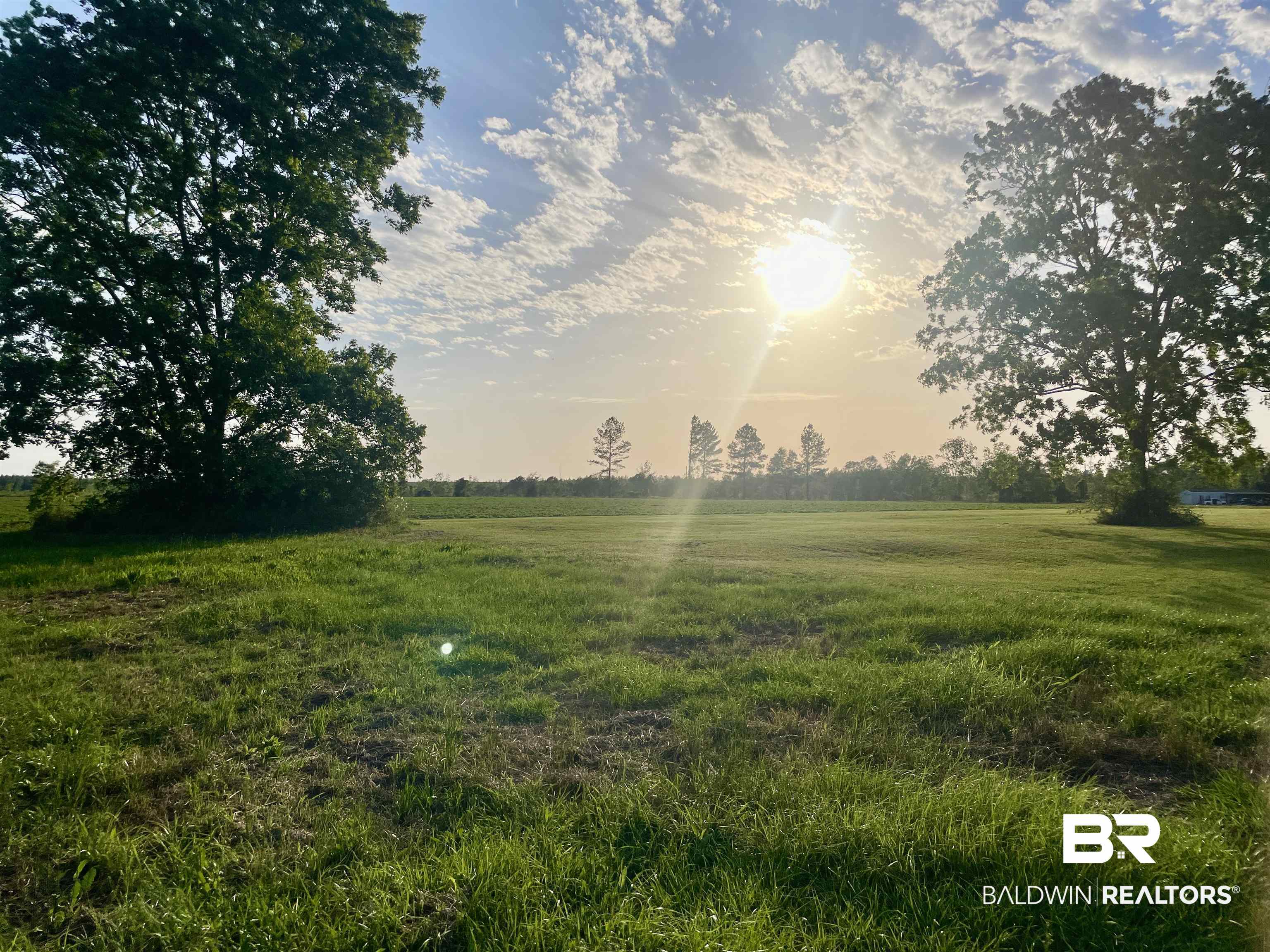 3595 Sardine Road Brewton, AL 36426 - Photo 1 of 9 View of green lawn featuring a view of countryside