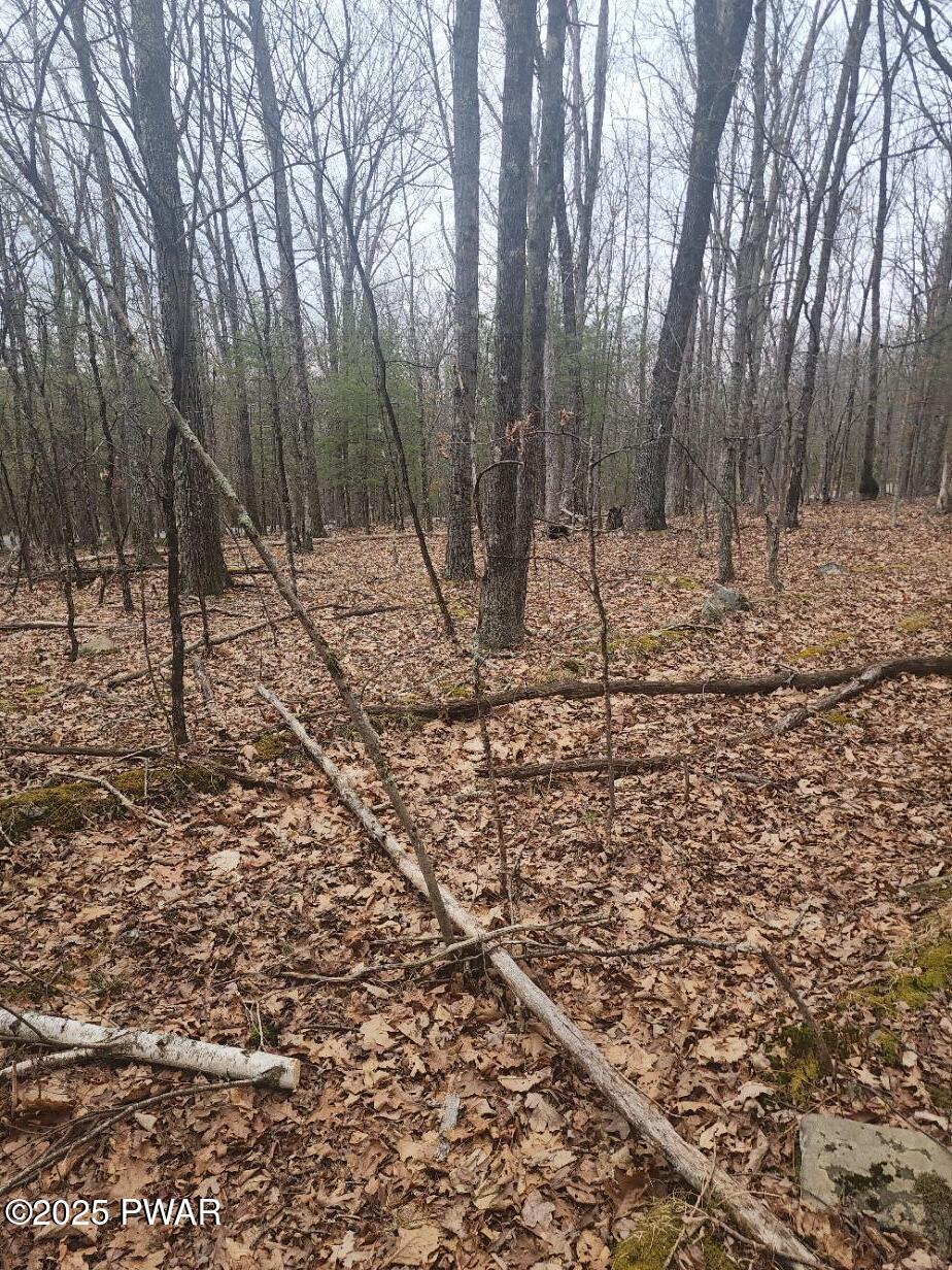 341 Timber Ridge Drive Hawley, PA 18428 - Photo 1 of 4 Lot 341 Timber Ridge