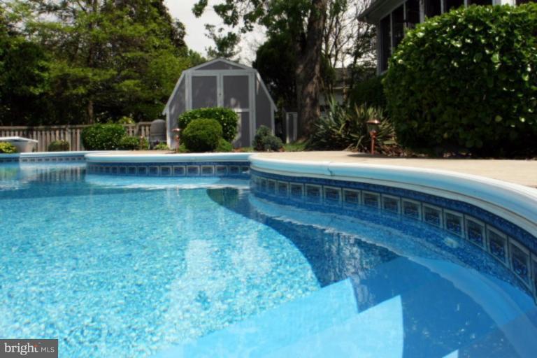 1616 Alston Road Towson, MD 21204 - Photo 25 of 30 Swimming Pool 2