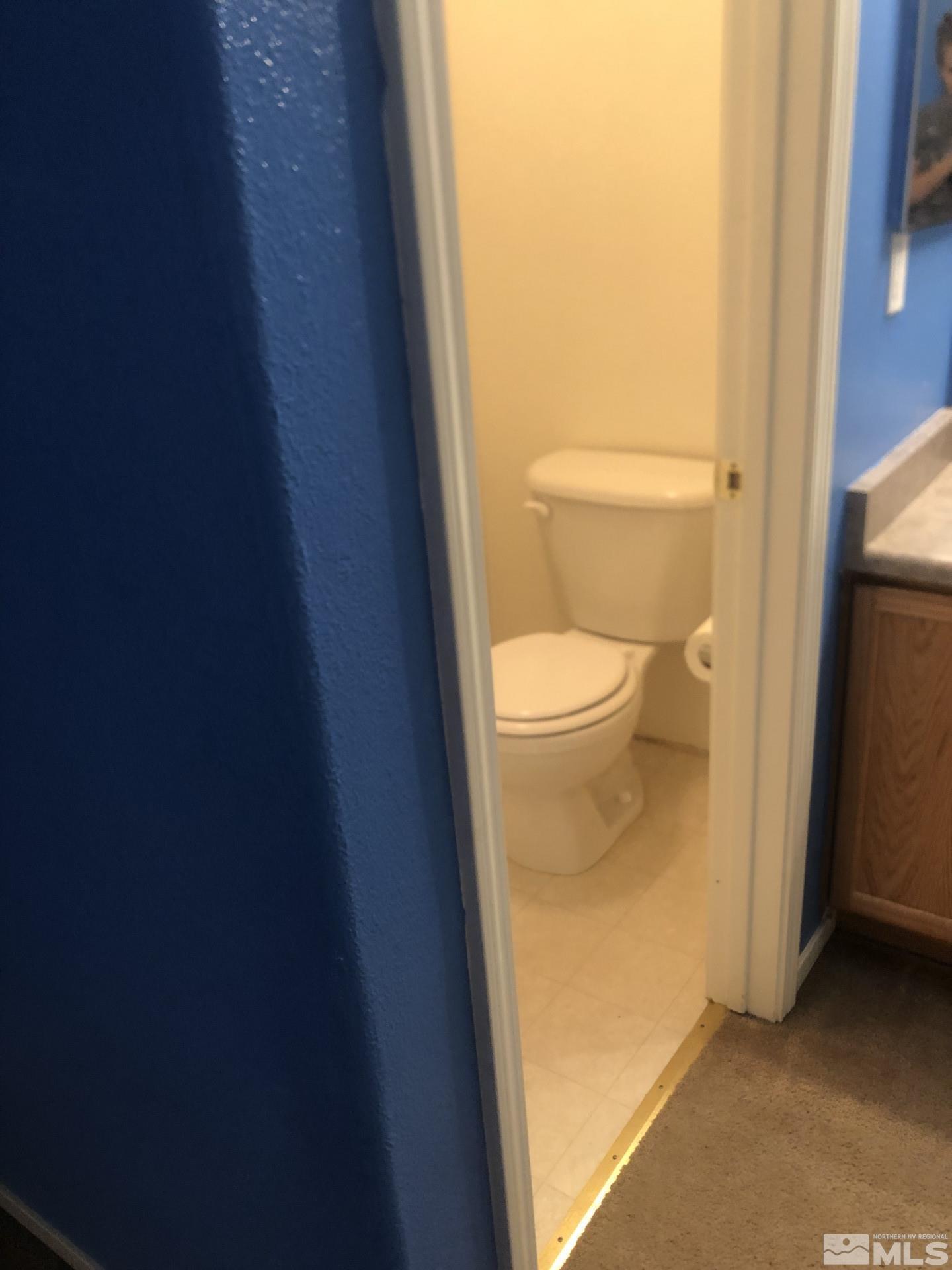 8823 Red Baron Boulevard Reno, NV 89506 - Photo 21 of 24 Photo 21