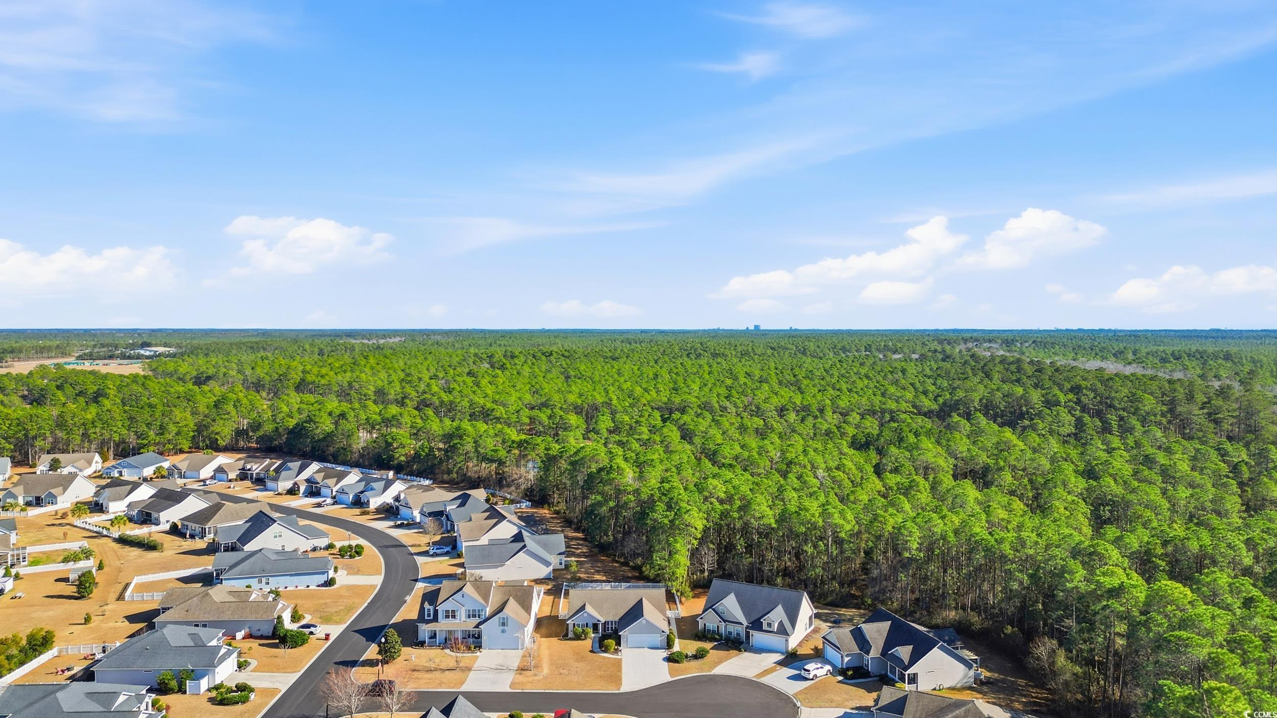 1705 Turkey Court Conway, SC 29526 - Photo 26 of 30