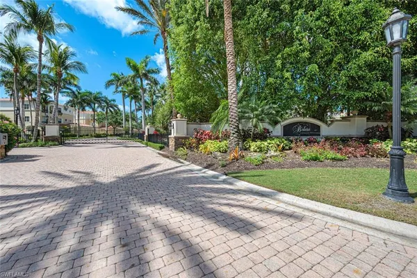a view of a park with plants and trees