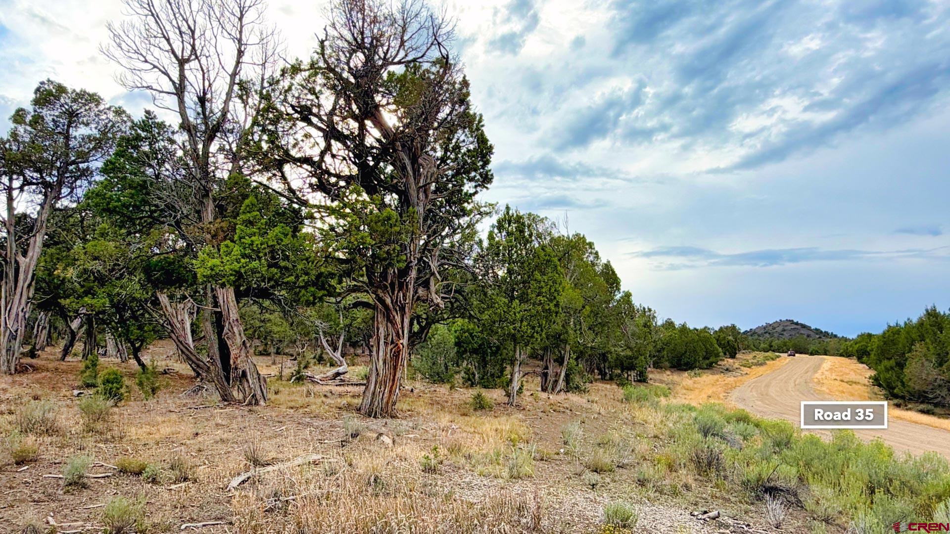 0 Road 35 Road Mancos, CO 81328 - Photo 24 of 45 Gallery Image 24