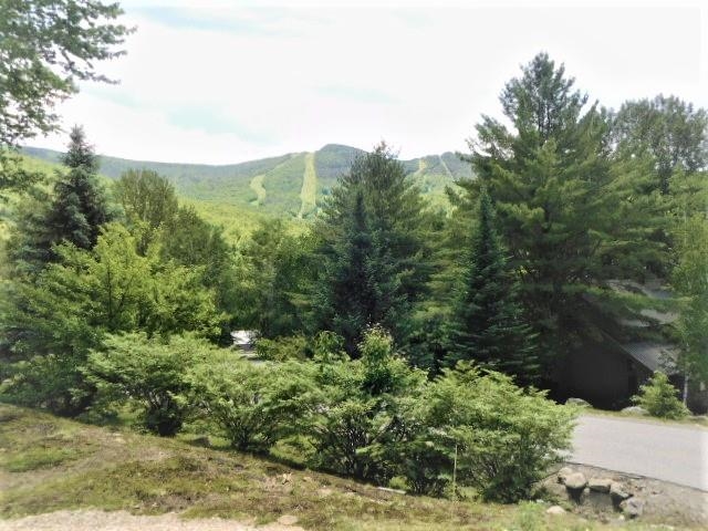 97 Fox Run Road, Unit 4 & 5 Lincoln, NH 03251 - Photo 31 of 40