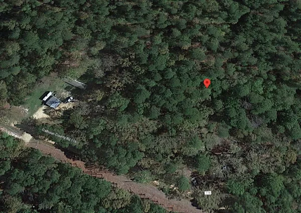 view of outdoor space and yard