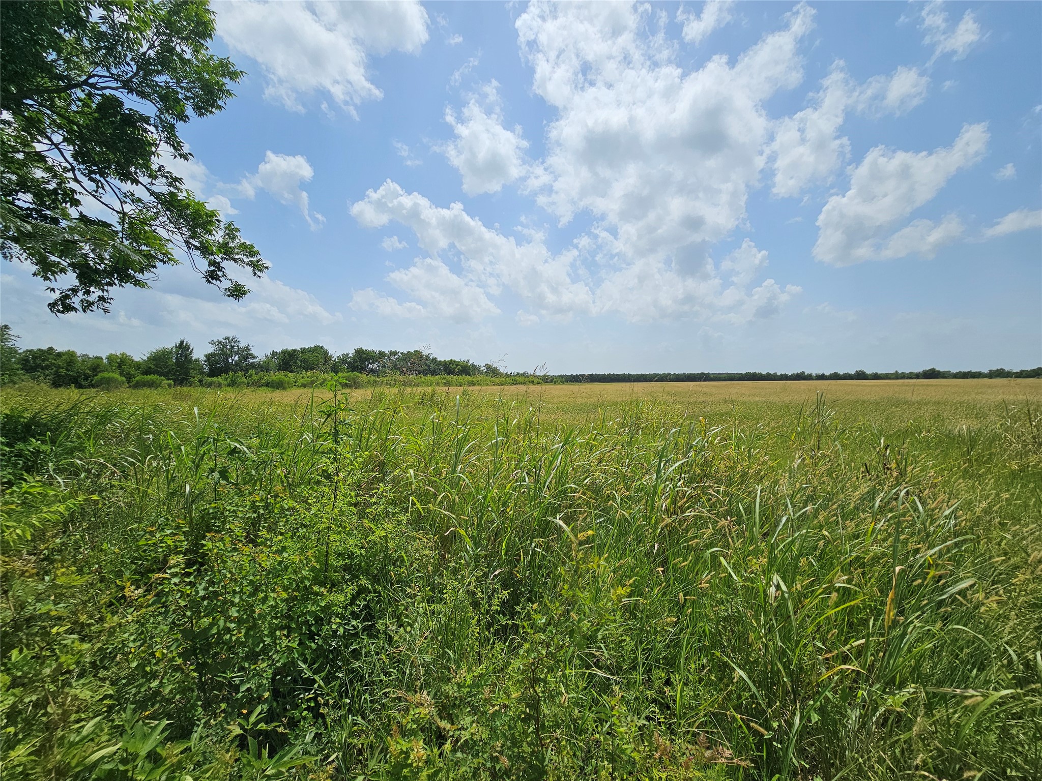 South Peters Road Crosby, TX 77532 - Photo 2 of 6 Looking across the property