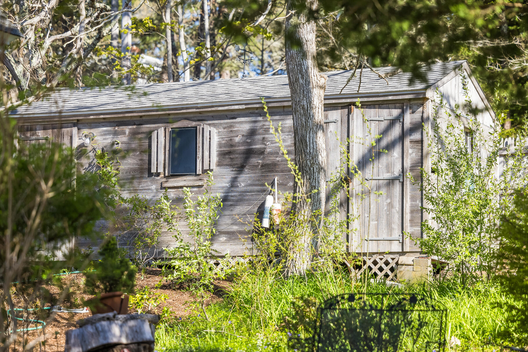 80 Hamblen Farm Road Wellfleet, MA 02667 - Photo 37 of 50 9L4A2027