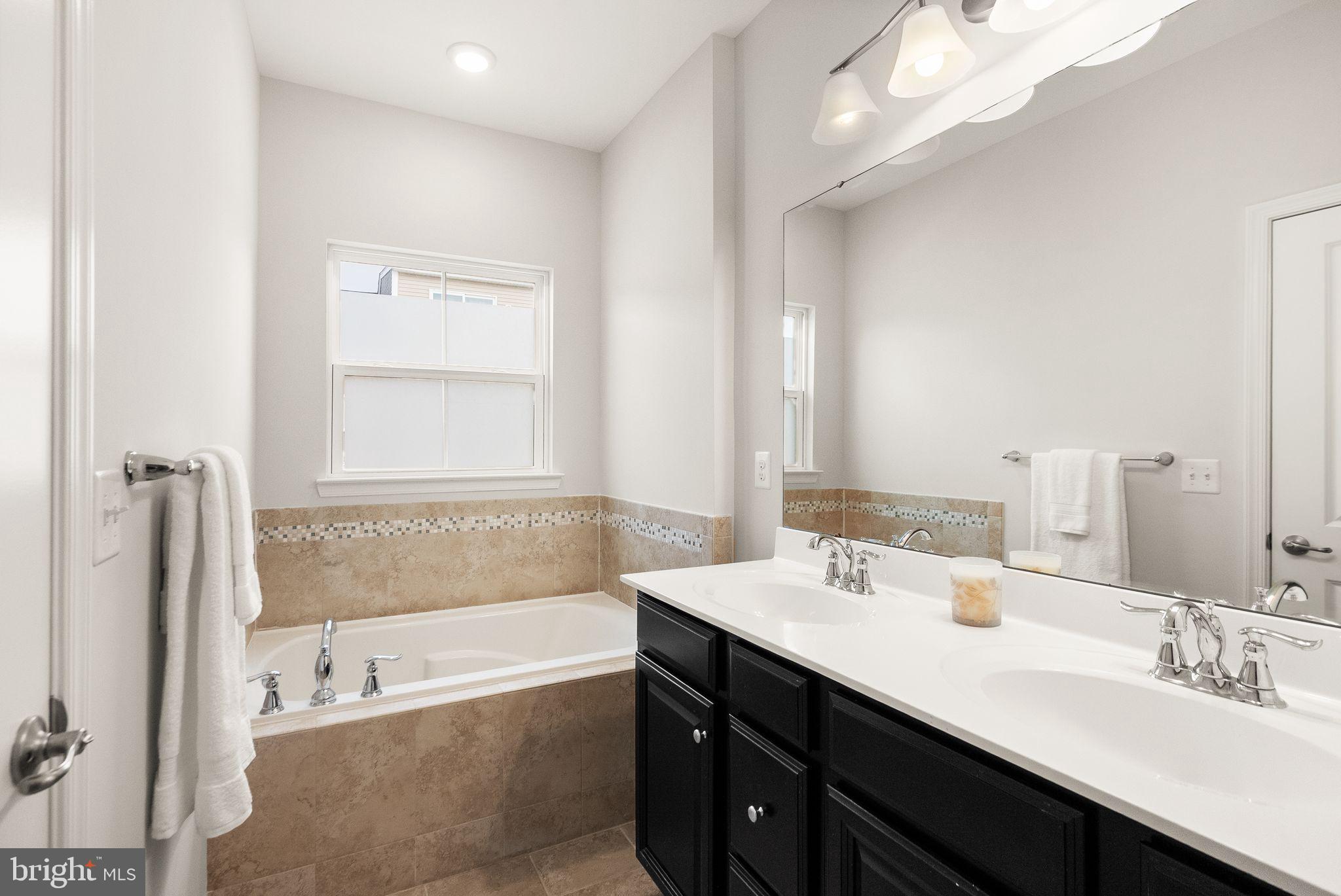 41688 McMonagle Square Aldie, VA 20105 - Photo 41 of 59 a bathroom with a tub double sink and mirror