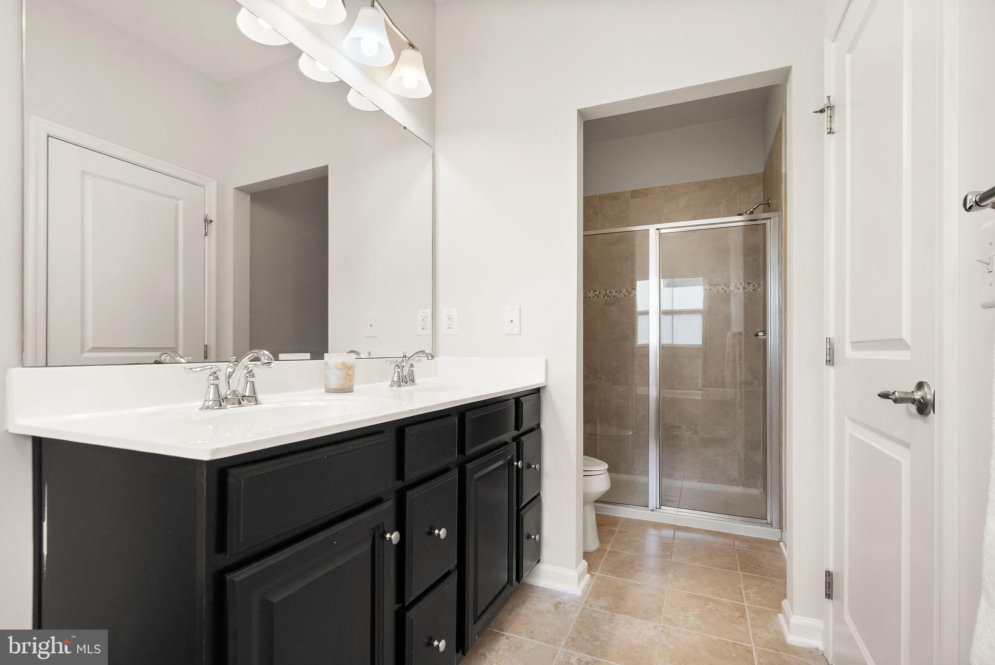 41688 McMonagle Square Aldie, VA 20105 - Photo 42 of 59 a bathroom with a sink a toilet a mirror and shower