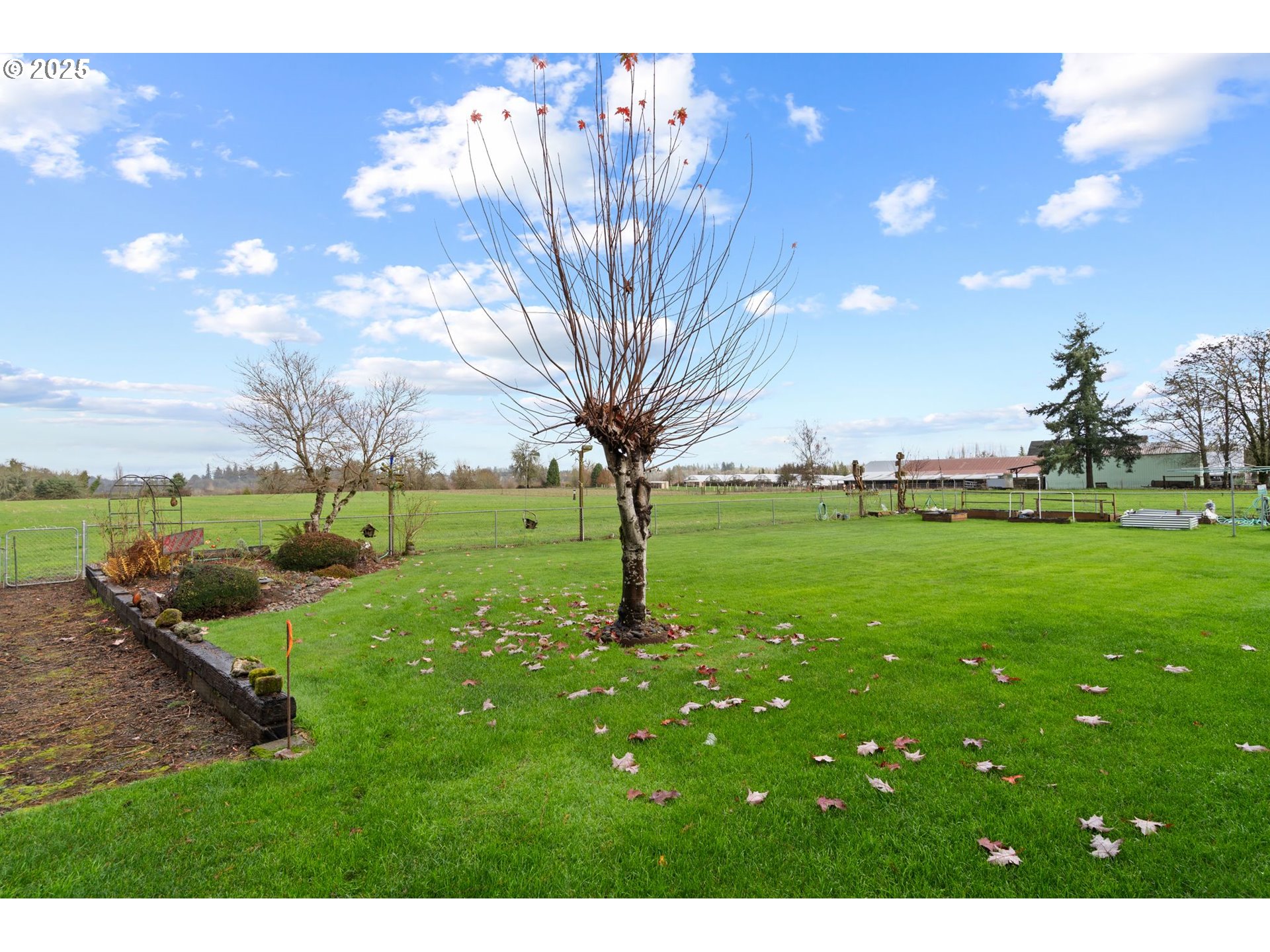 1720 Southwest Stringtown Road Forest Grove, OR 97116 - Photo 7 of 39 a park with lots of green space