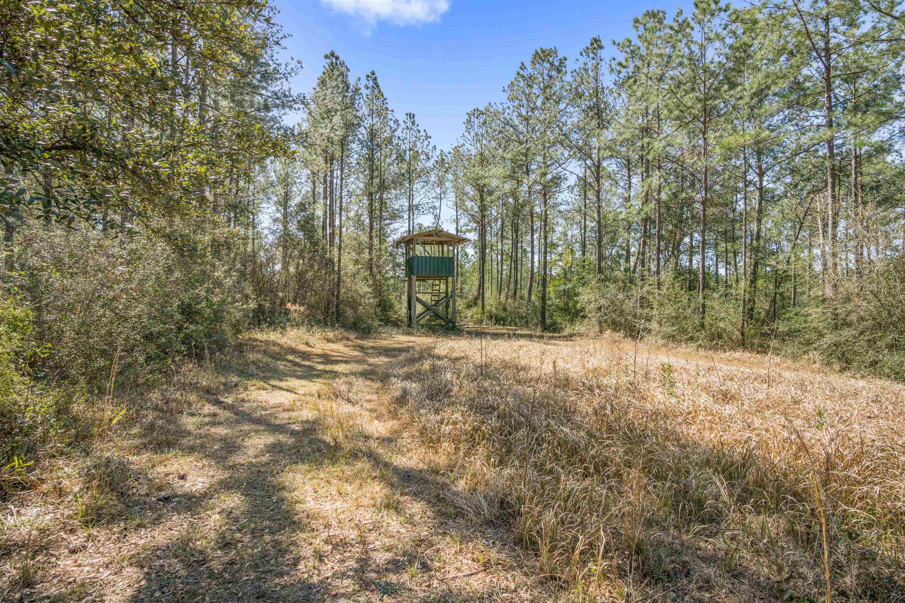 29476 C P Adams Lane Elberta, AL 36530 - Photo 10 of 45
