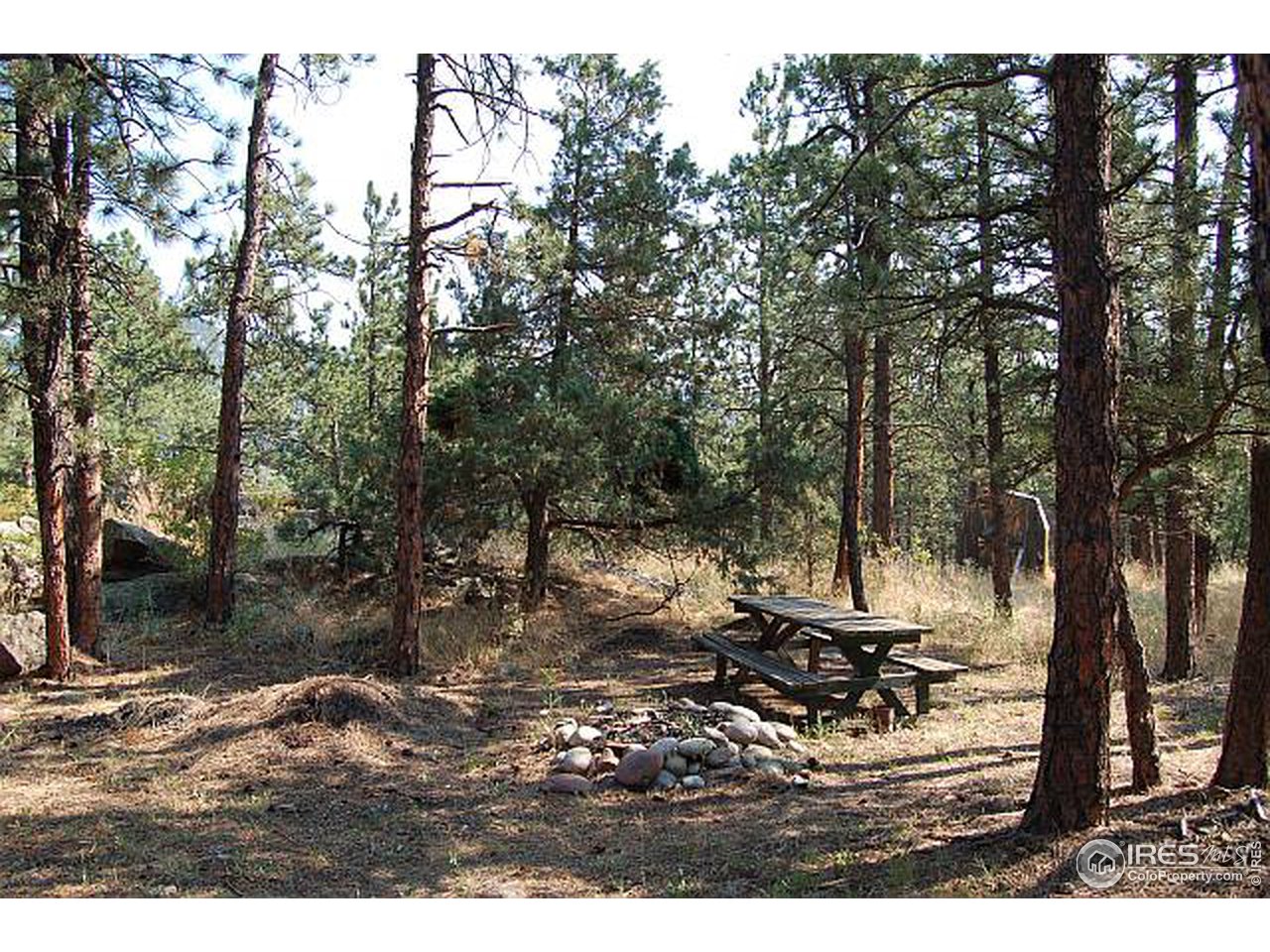 73 Sioux Road Lyons, CO 80540 - Photo 4 of 11 a view of a backyard of the house