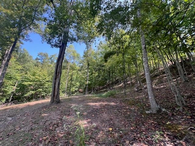 0 Fudges Creek Road Ona, WV 25545 - Photo 29 of 32 Gallery Image 29