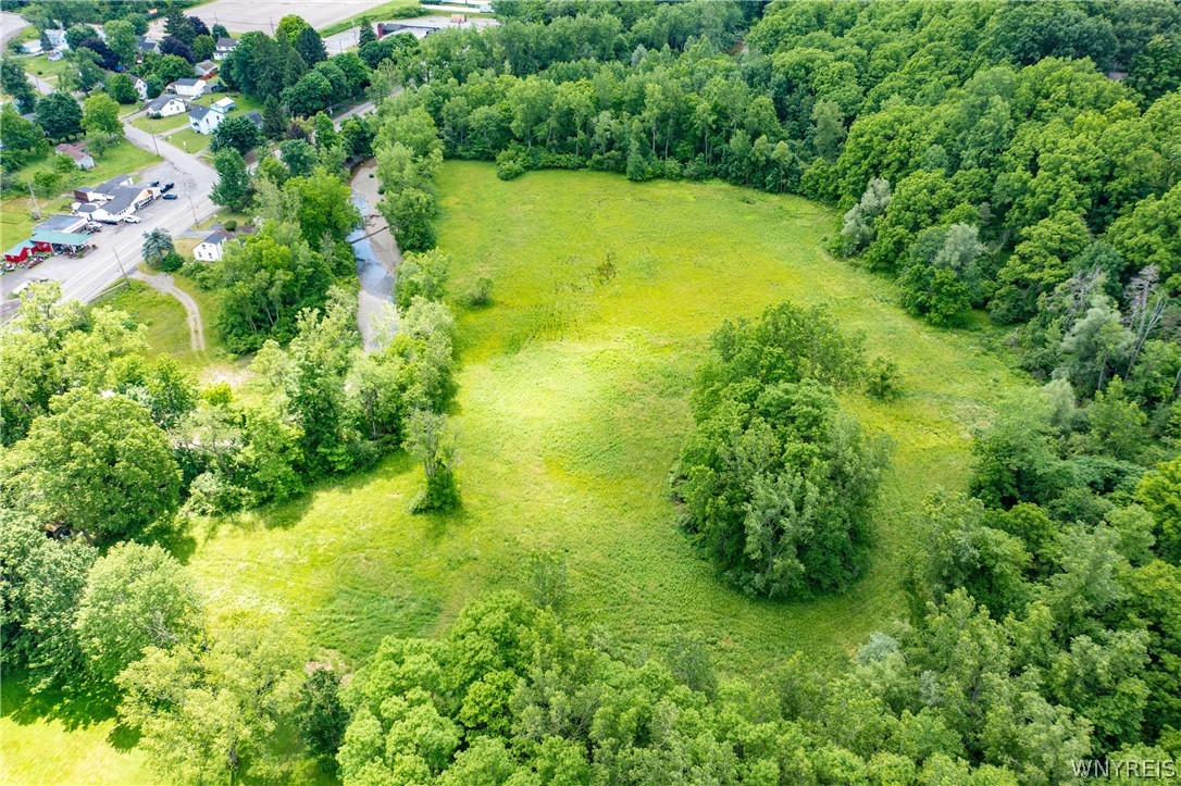 Richardson Road Collins, NY 14034 - Photo 4 of 12