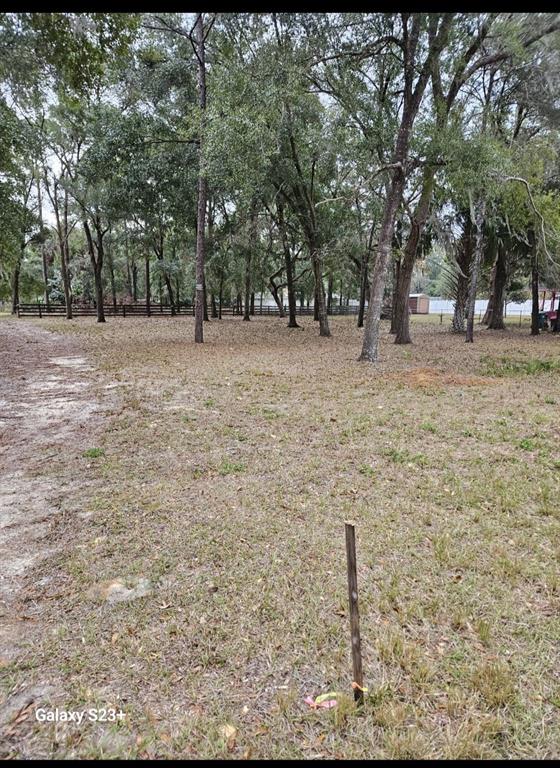 5463 East Tangelo Lane Inverness, FL 34453 - Photo 3 of 5