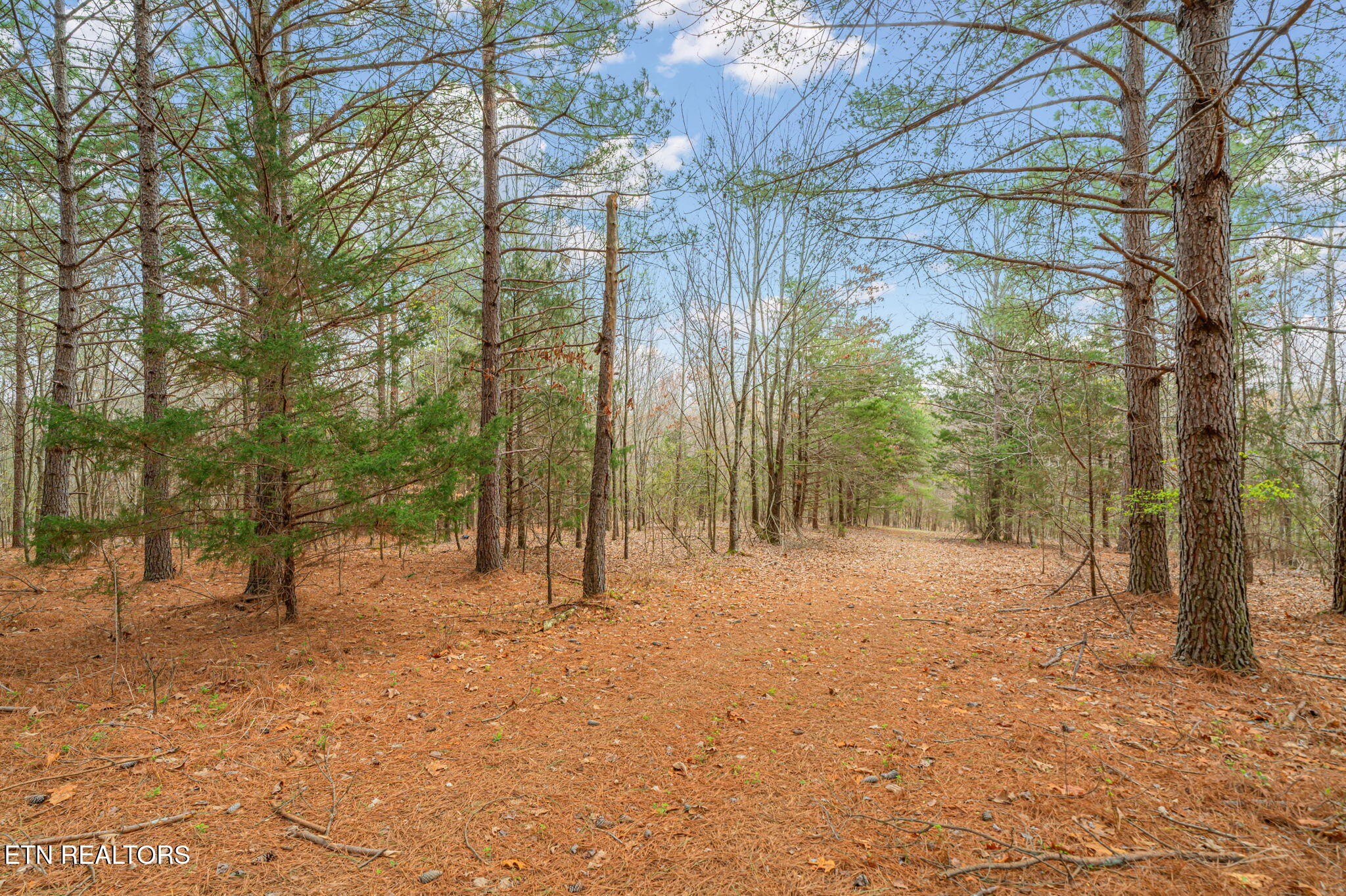 3493 Foshee Road Philadelphia, TN 37846 - Photo 24 of 60 Gallery Image 24