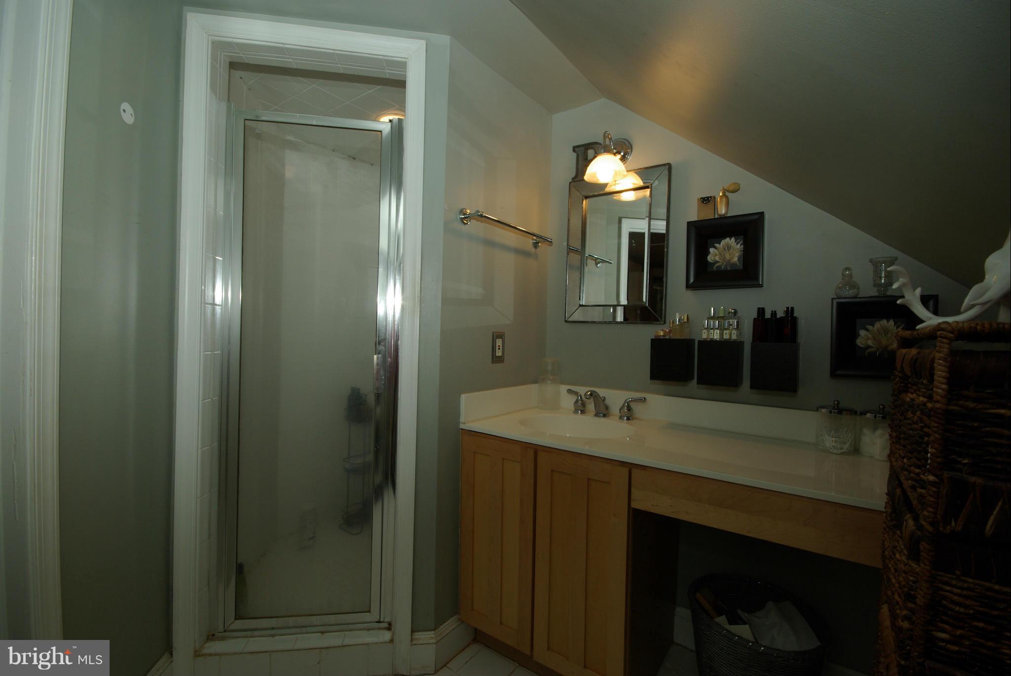 1203 West Braddock Road Alexandria, VA 22302 - Photo 14 of 23 Bath (Master)