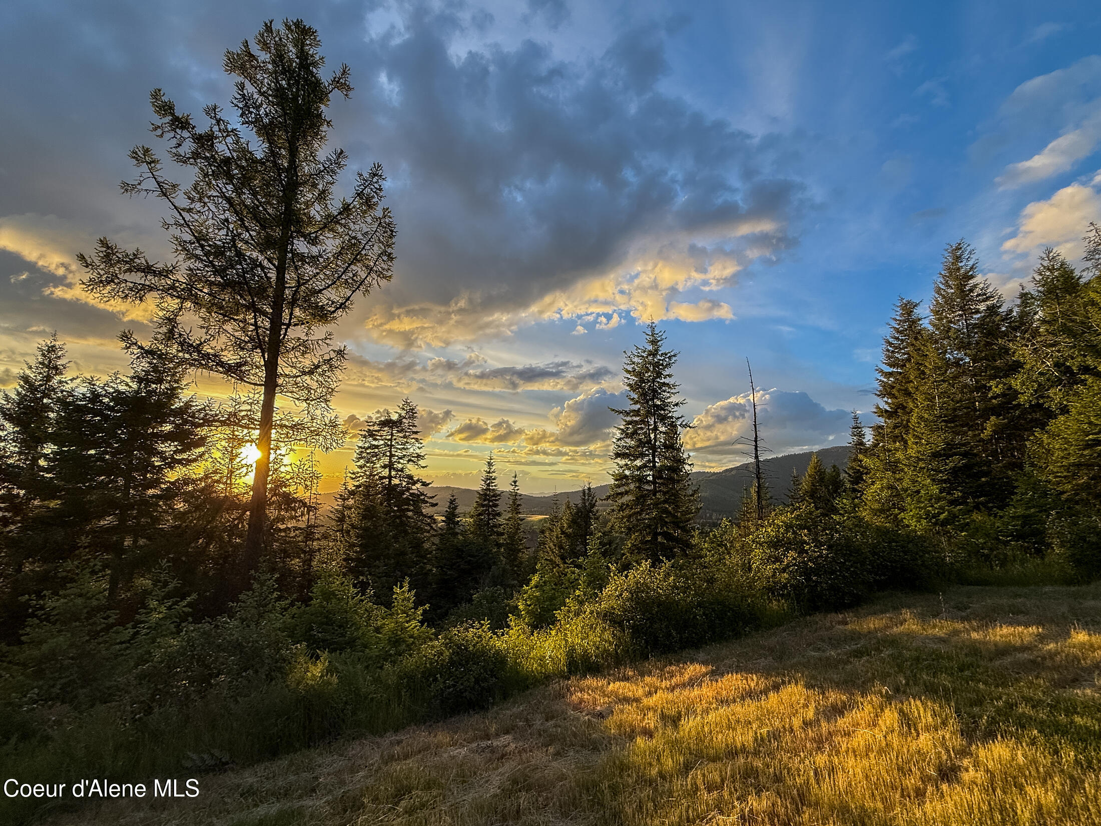 Lot 2 Ridgeview Drive St. Maries, ID 83861 - Photo 13 of 24 IMG_6984-27