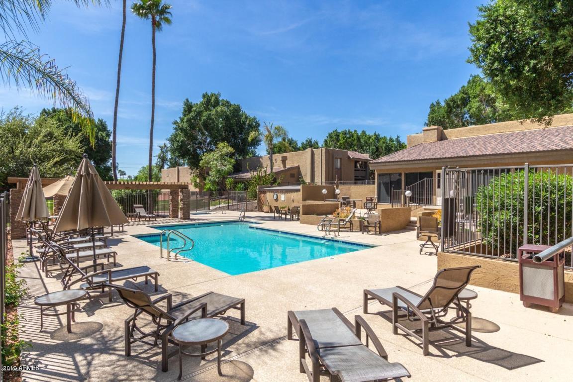 3825 East Camelback Road, Unit 281 Phoenix, AZ 85018 - Photo 3 of 19 pool1