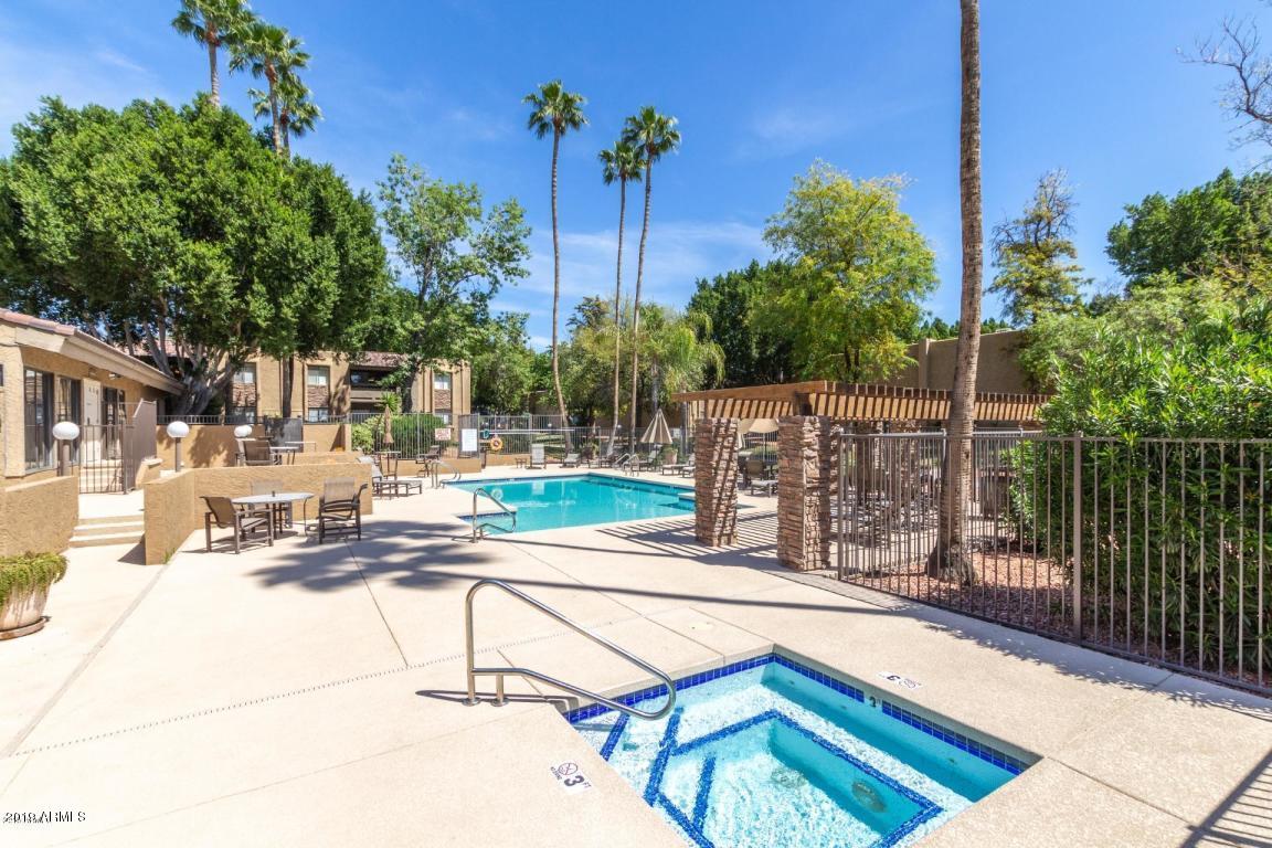 3825 East Camelback Road, Unit 281 Phoenix, AZ 85018 - Photo 4 of 19 pool 2