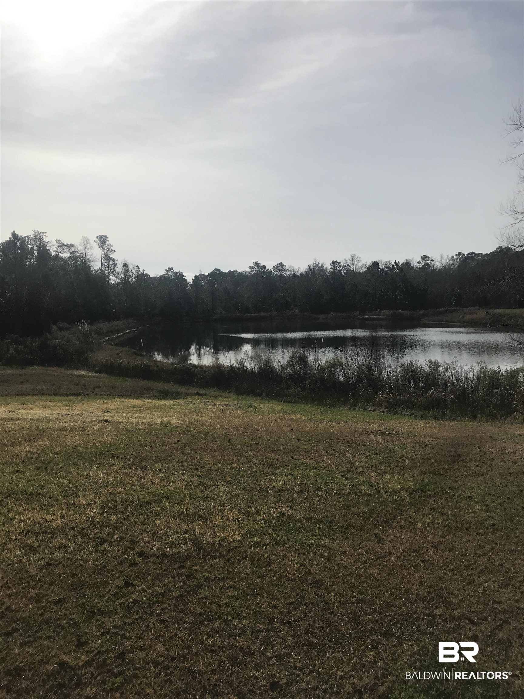 0 Steadham Lane Robertsdale, AL 36567 - Photo 16 of 24
